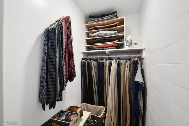view of spacious closet