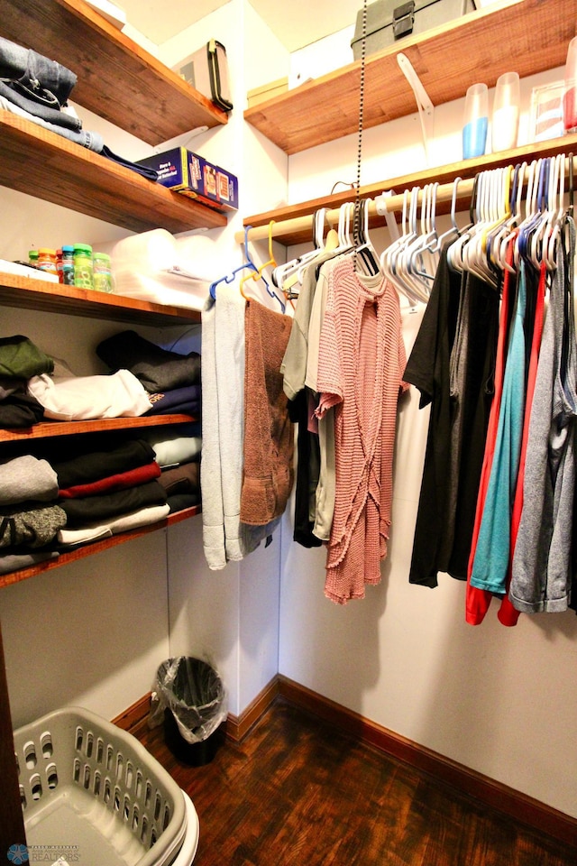 walk in closet featuring dark wood-style floors