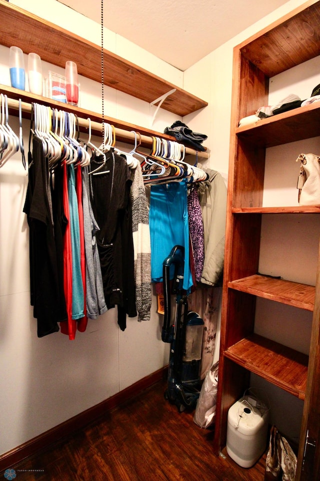 walk in closet featuring wood finished floors
