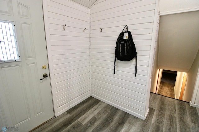 mudroom featuring dark wood finished floors