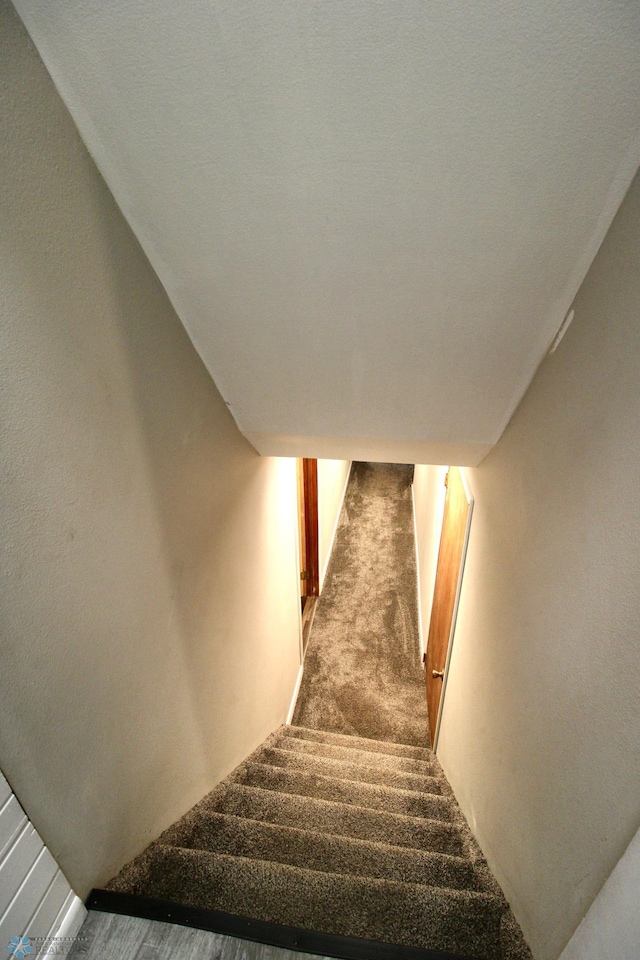 stairs with carpet flooring