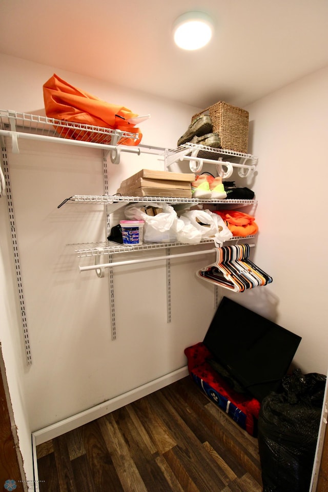 walk in closet featuring dark wood finished floors