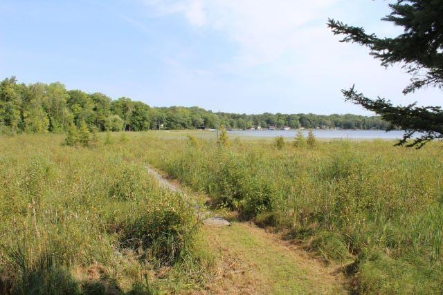 view of local wilderness with a water view and a wooded view