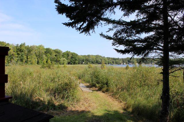 view of nature with a water view and a view of trees
