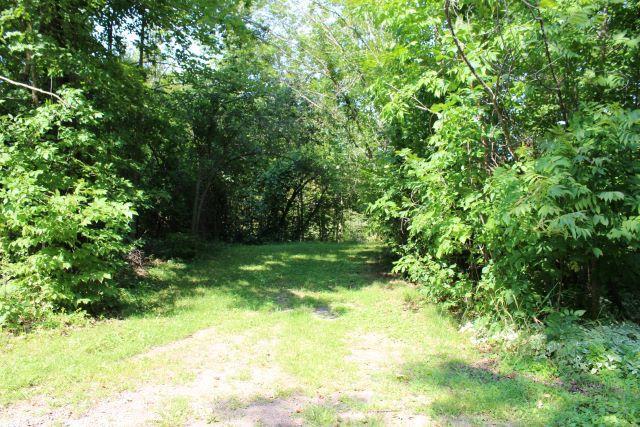 view of yard with a view of trees