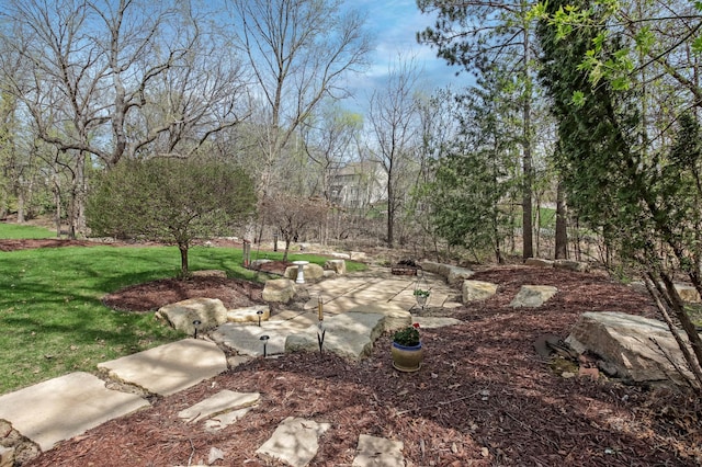 view of yard with a patio area