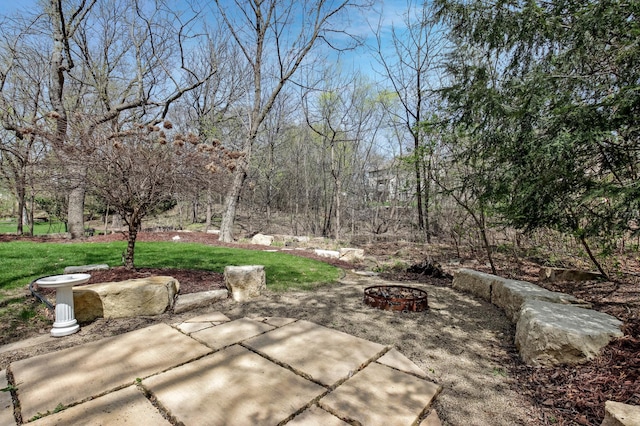 view of patio / terrace featuring an outdoor fire pit