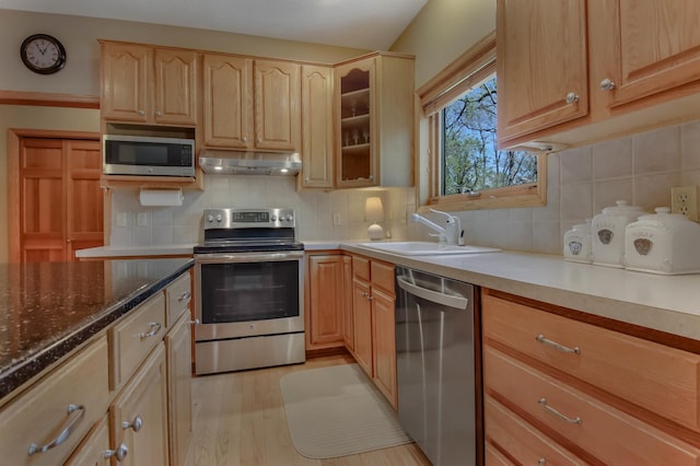 kitchen featuring a sink, light wood-style flooring, stainless steel appliances, backsplash, and under cabinet range hood