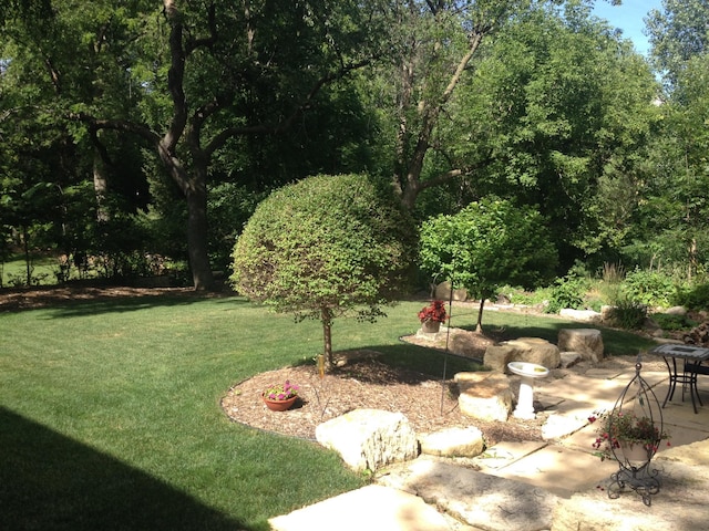 view of yard featuring a patio area