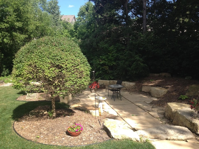 view of yard with a patio area