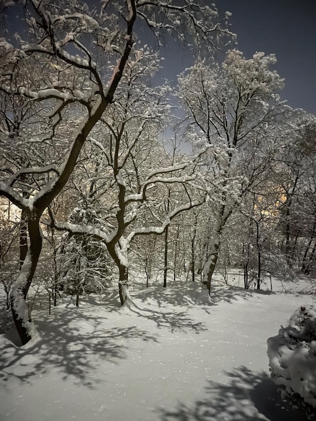 view of snowy landscape