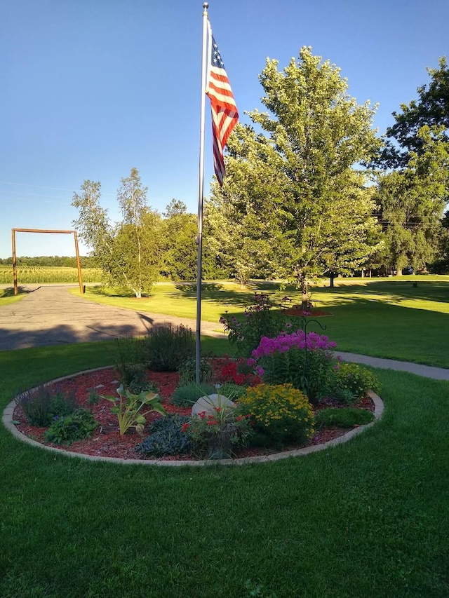 view of home's community featuring a yard