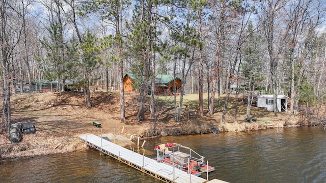 dock area with a water view