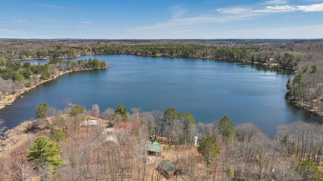 drone / aerial view with a water view and a forest view