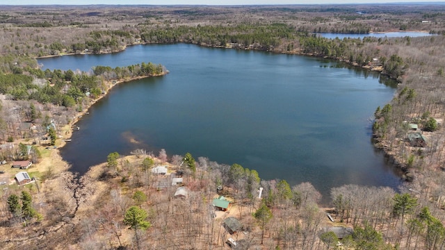 bird's eye view featuring a water view and a wooded view