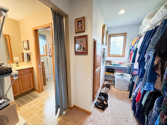 interior space featuring light carpet and visible vents