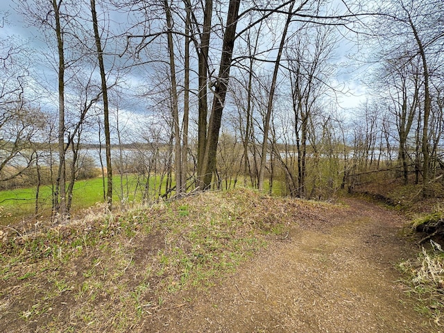 view of landscape