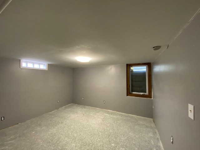 basement featuring carpet