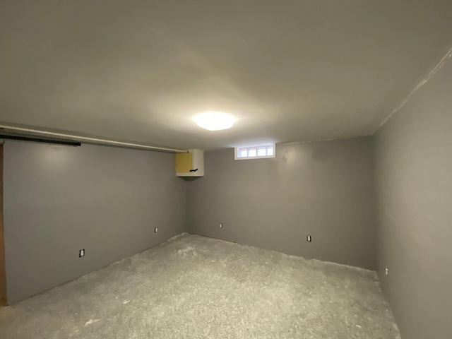 basement featuring carpet