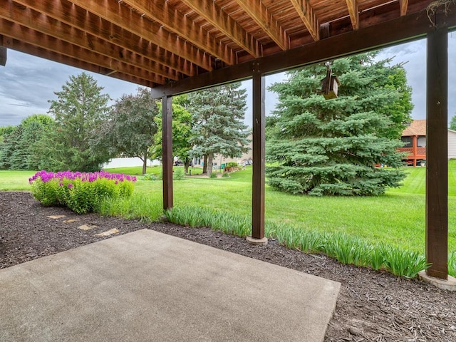 8918 Prestwick Pkwy N, Brooklyn Park, MN 55443 - view of patio / terrace