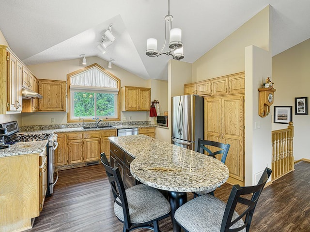 8918 Prestwick Pkwy N, Brooklyn Park, MN 55443 - kitchen featuring stainless steel appliances, lofted ceiling, dark wood-style floors, a chandelier, and light stone countertops