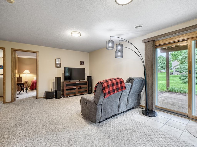 8918 Prestwick Pkwy N, Brooklyn Park, MN 55443 - living room with a textured ceiling