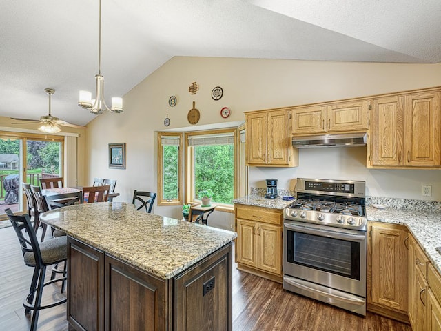 8918 Prestwick Pkwy N, Brooklyn Park, MN 55443 - kitchen with stainless steel gas stove, under cabinet range hood, dark wood-style flooring, light stone countertops, and ceiling fan