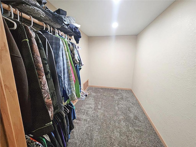 spacious closet with carpet