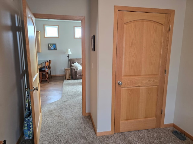 hall featuring baseboards and carpet floors
