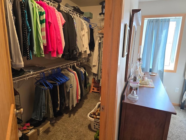 spacious closet with carpet floors