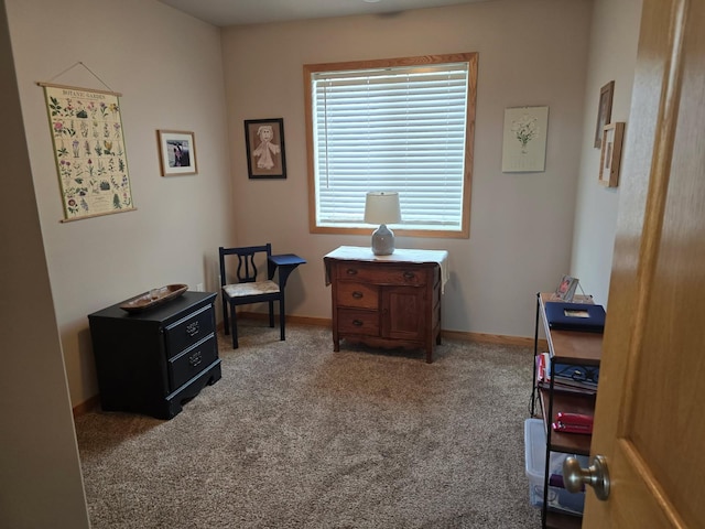 living area with baseboards and carpet floors