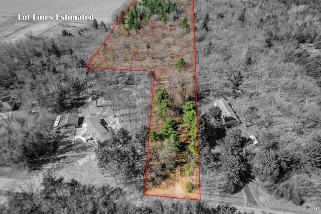 TBD Montgomery Rd, Hixton, WI 54635 - photo 2
