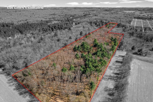 TBD Montgomery Rd, Hixton, WI 54635 - photo 1