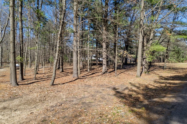 TBD Montgomery Rd, Hixton, WI 54635 - photo 3