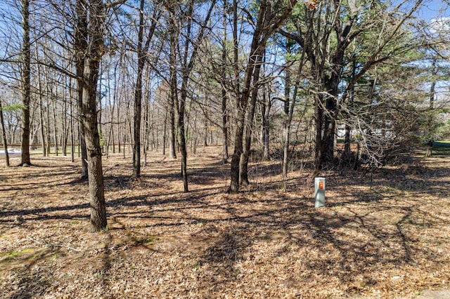 TBD Montgomery Rd, Hixton, WI 54635 - photo 14
