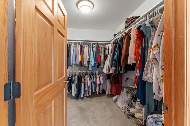 spacious closet with carpet floors