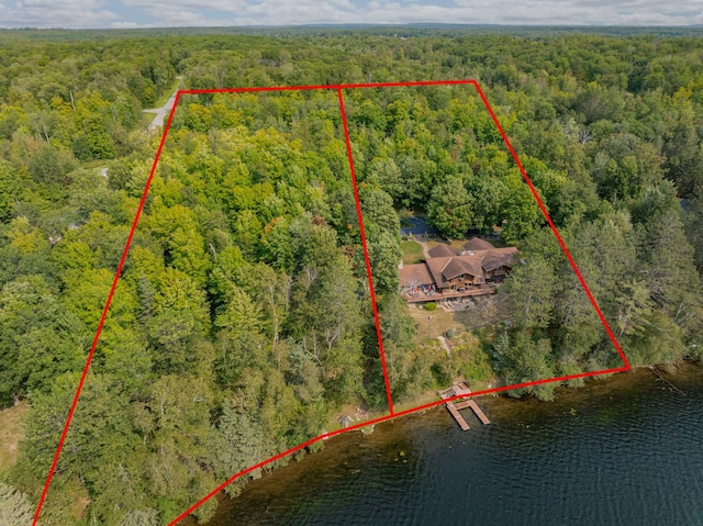 drone / aerial view with a water view and a wooded view