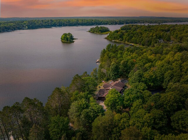 birds eye view of property featuring a water view and a wooded view