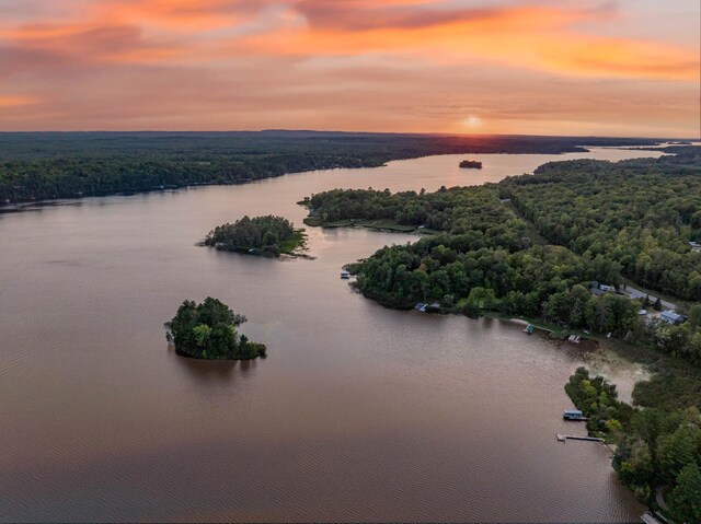 aerial view at dusk with a water view and a forest view