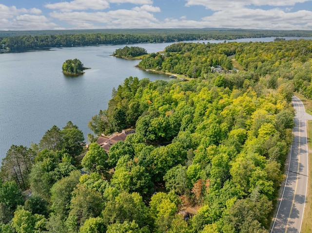 bird's eye view with a water view and a view of trees
