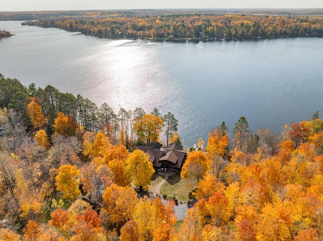 bird's eye view featuring a water view and a forest view