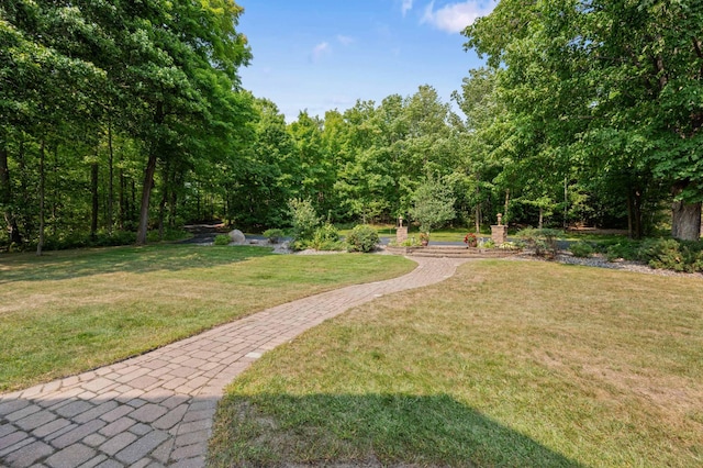 view of property's community featuring a yard