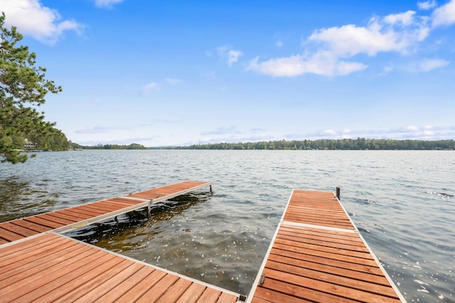 dock area with a water view