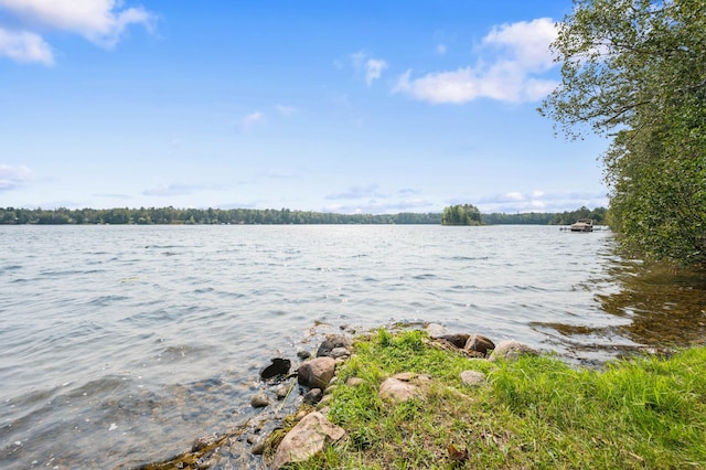 property view of water