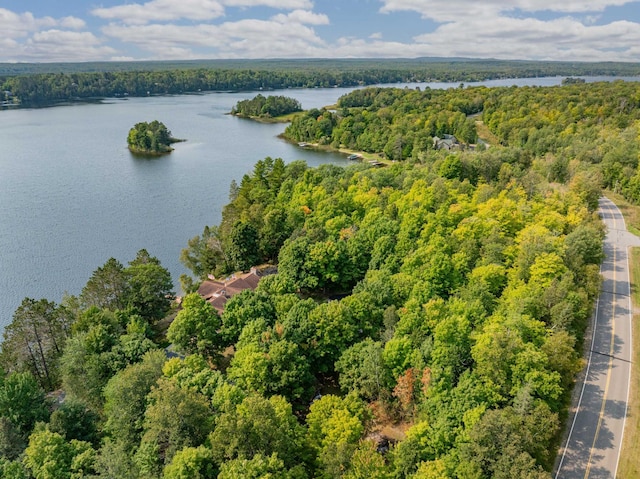 30047 Sunny Beach Rd, Grand Rapids, MN 55744 - aerial view of a heavily wooded area and a nearby body of water