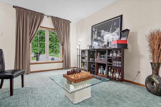 14217 Footbridge Way, Apple Valley, MN 55124 - living area featuring carpet flooring and baseboards