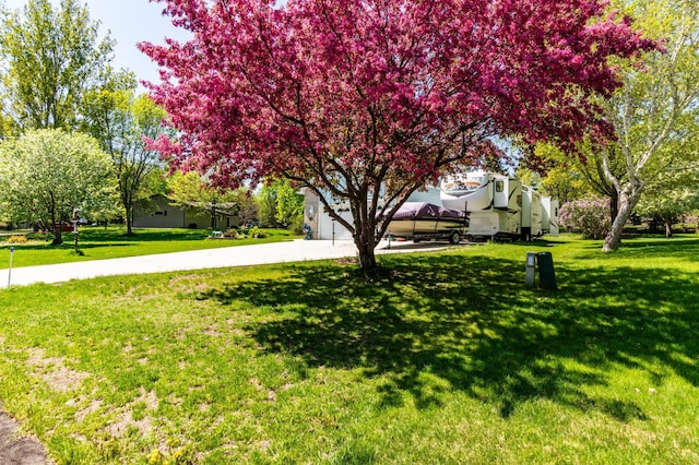 view of yard with driveway and a garage