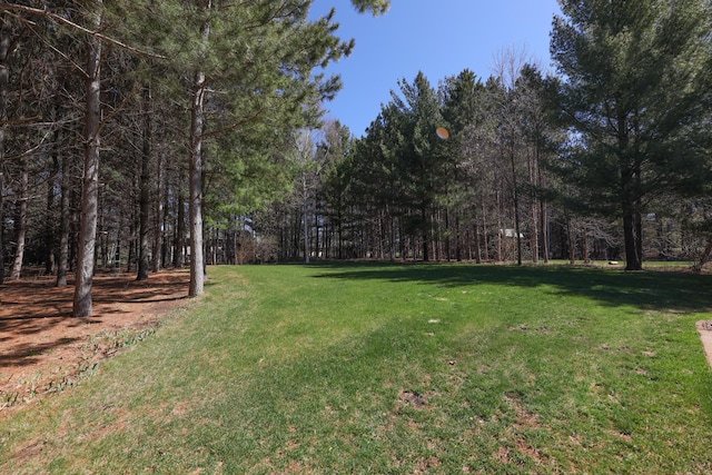 view of yard with a wooded view