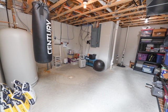 unfinished basement with electric panel