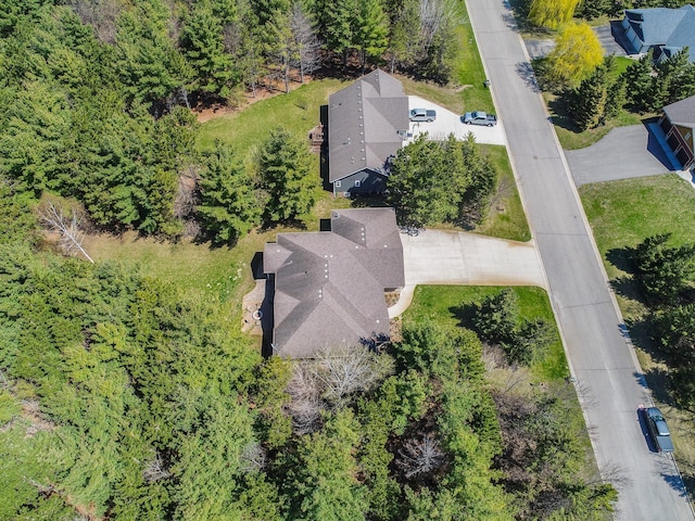 bird's eye view